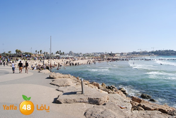 yaffa people 811 (28).JPG